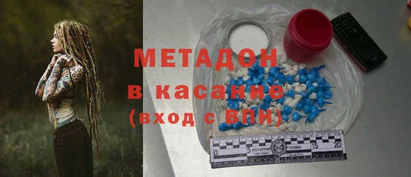 прущие грибы Аркадак