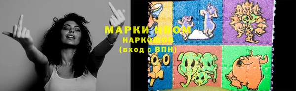 прущие грибы Аркадак