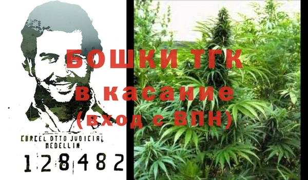 прущие грибы Аркадак