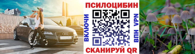 закладка  Белозерск  Галлюциногенные грибы ЛСД 